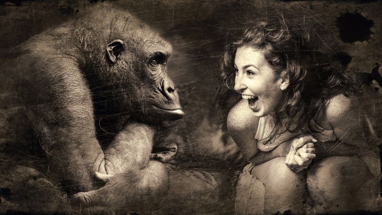 Gefühle - dargestellt durch einen nachdenklichen Gorilla und eine fröhliche Frau